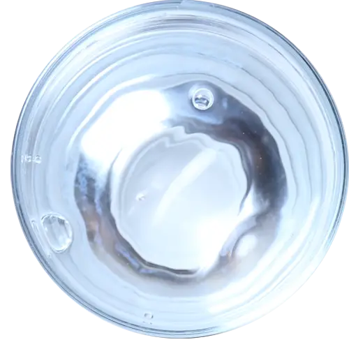 Transparent Glass Bowl