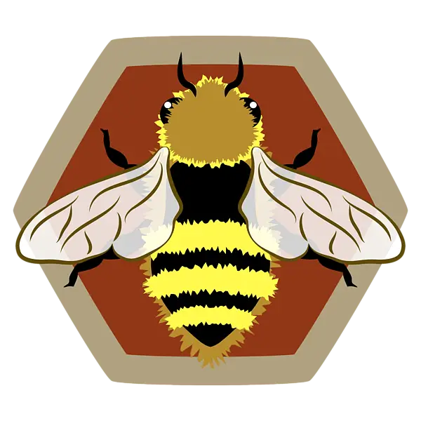 Honey Bee Illustration
