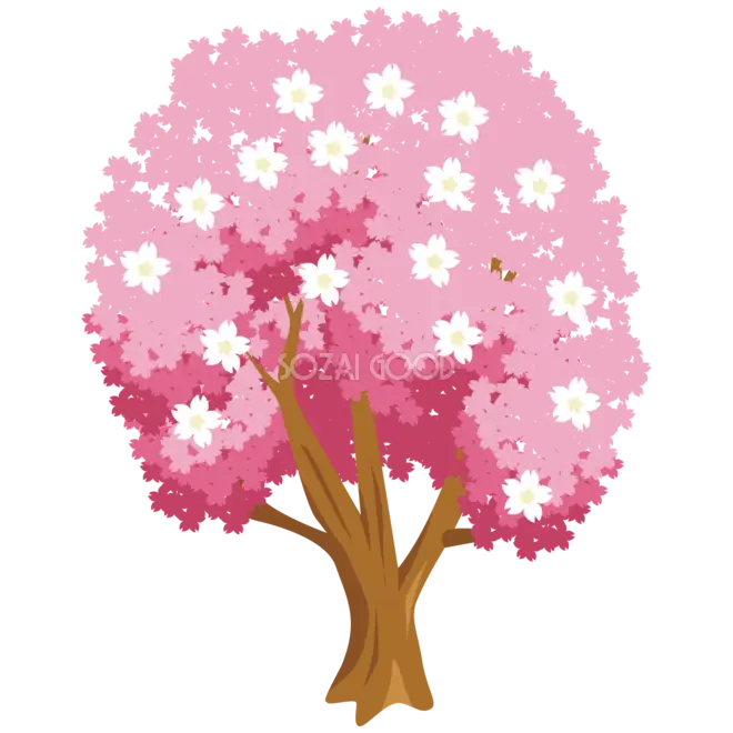 Pink Cherry Blossom Tree Illustration