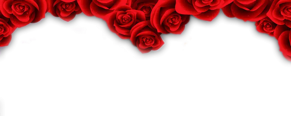 Red Roses with Transparent Background