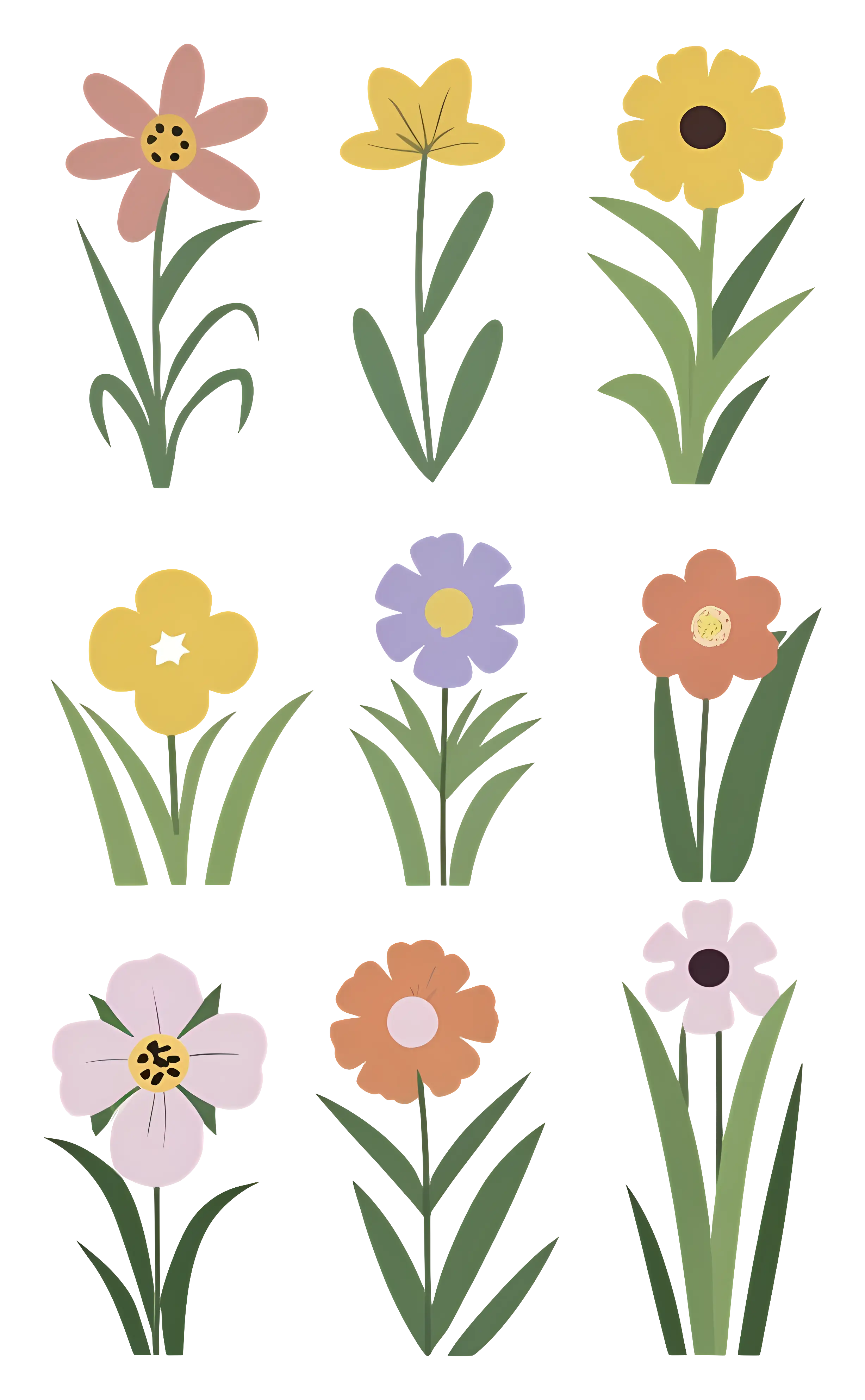 Colorful Flower Design Collection