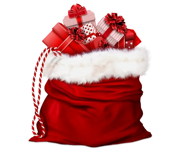Red Gift Bag for Christmas Celebration