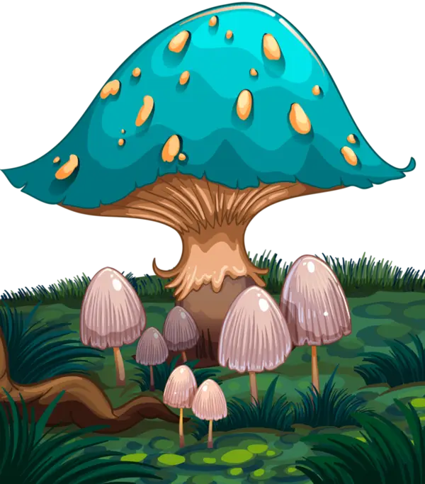 Fantasy Mushroom in Forest