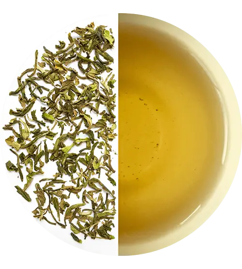 Green Tea Leaves and Brewed Tea Cup Illustration