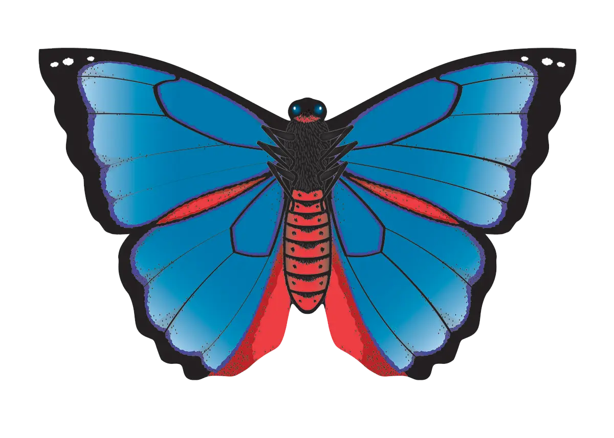 Blue and Red Butterfly Illustration