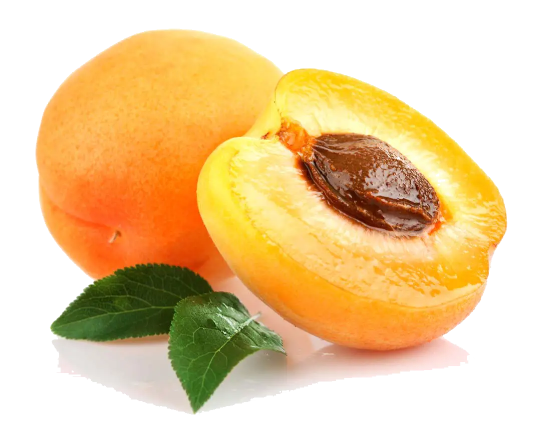 Fresh Ripe Apricot with Leaves