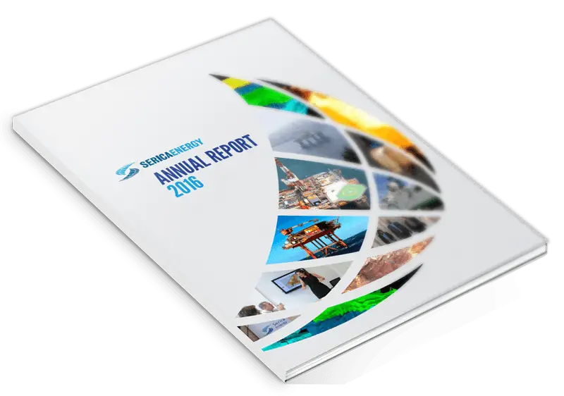 Annual Report Document for Business