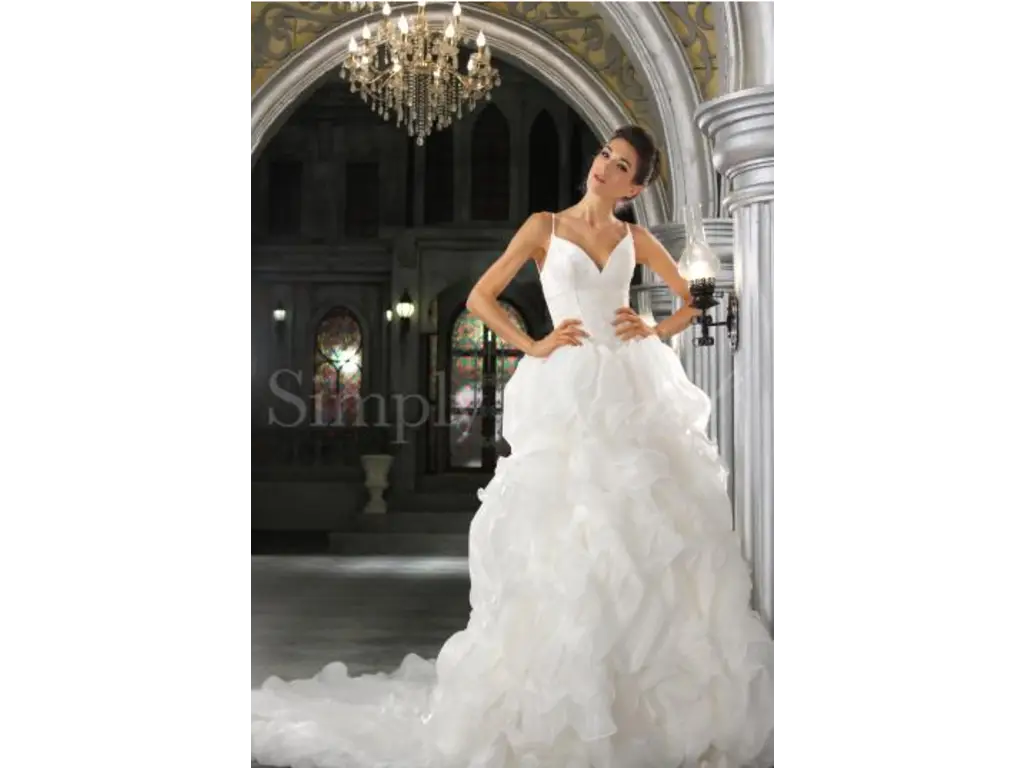 Elegant Bride in White Wedding Gown