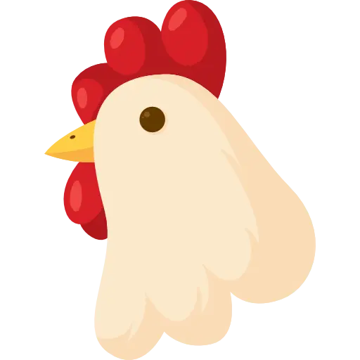 Cute Chicken Illustration