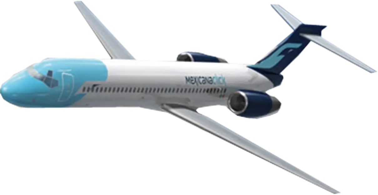 Modern Airplane in Flight