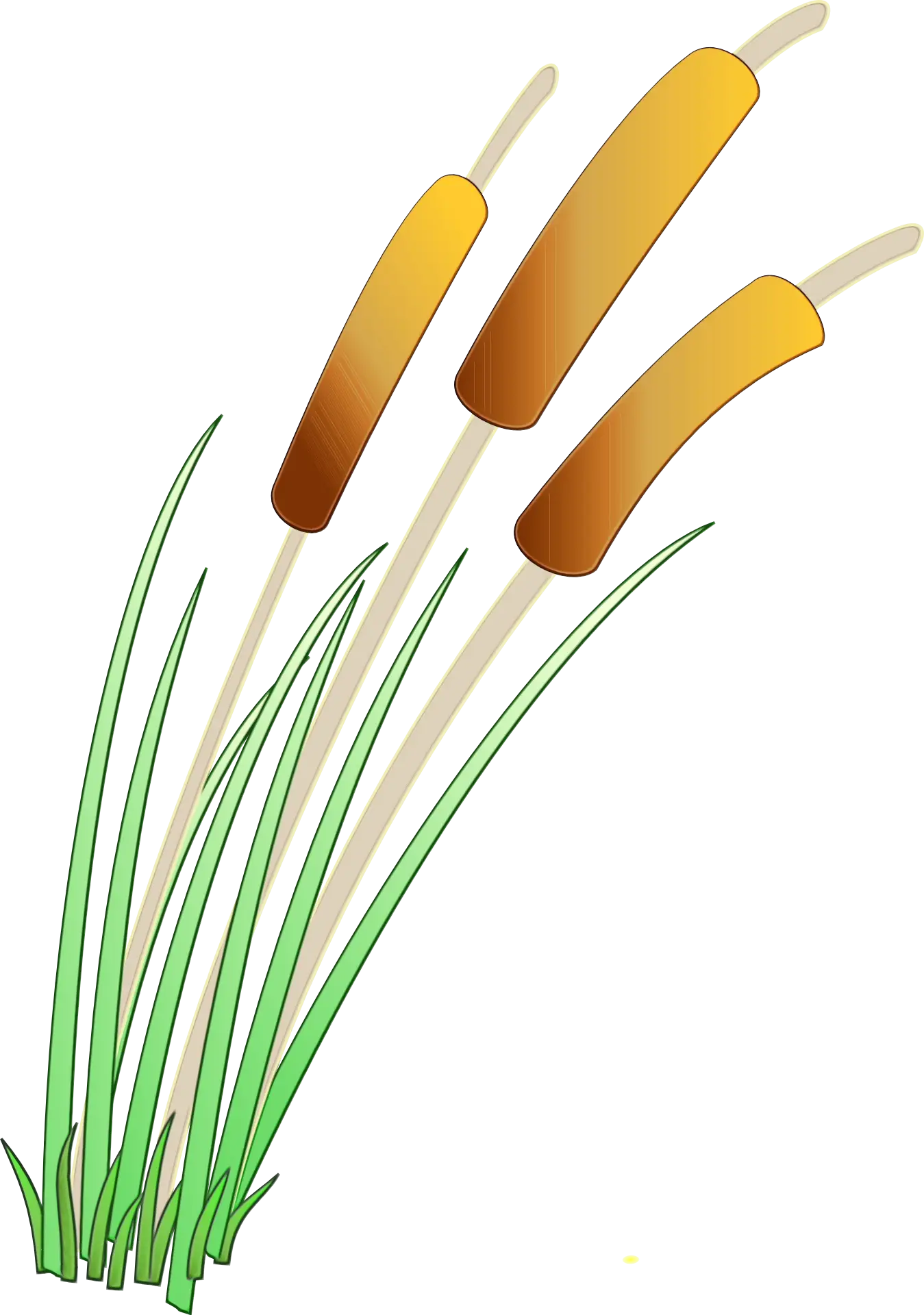 Cattails with Green Leaves Illustration