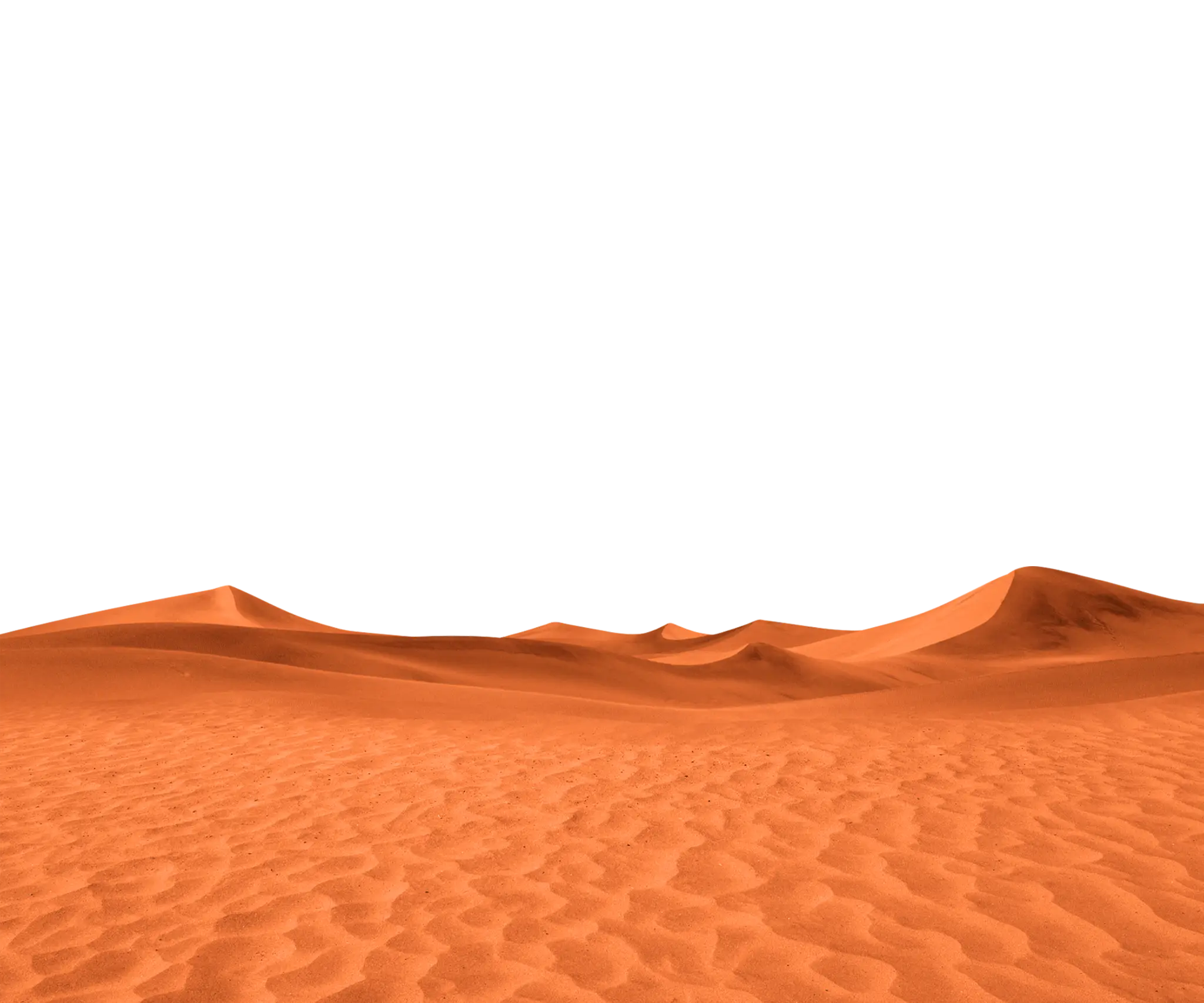 Desert Landscape Illustration