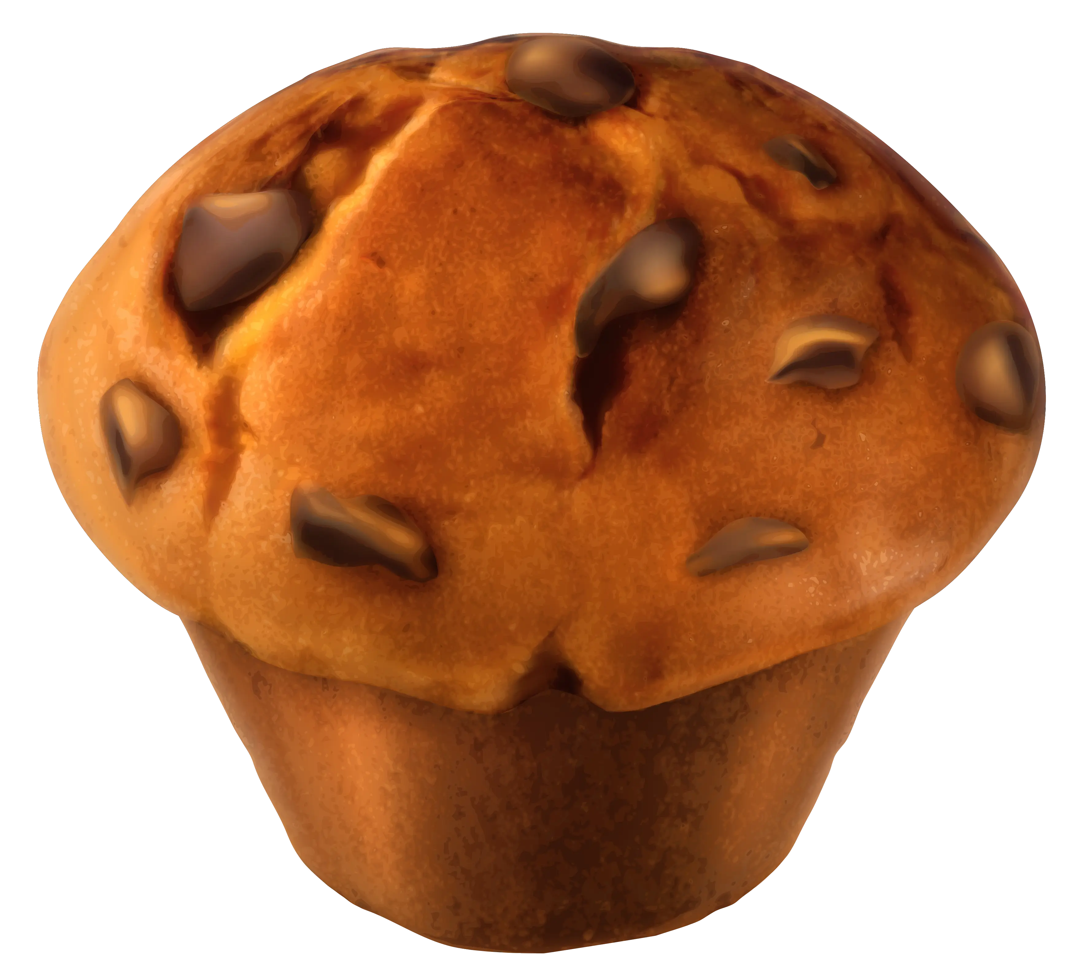 Delicious Chocolate Chip Muffin