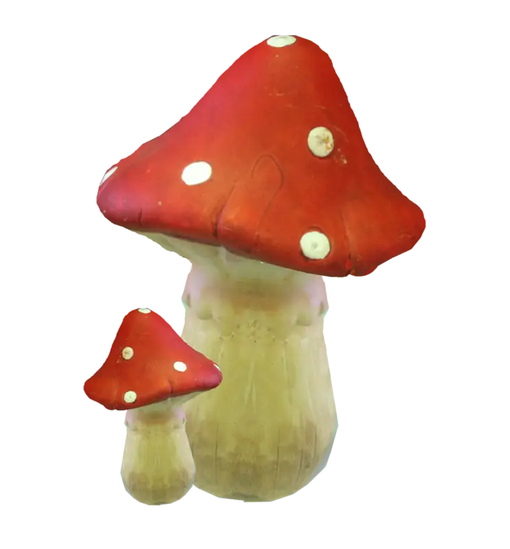 Red and White Spot Mushrooms