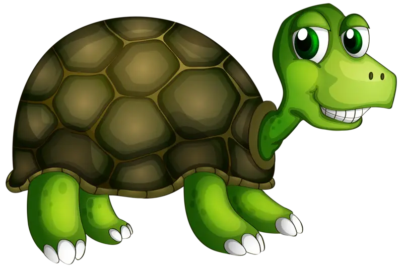 Smiling Green Cartoon Turtle