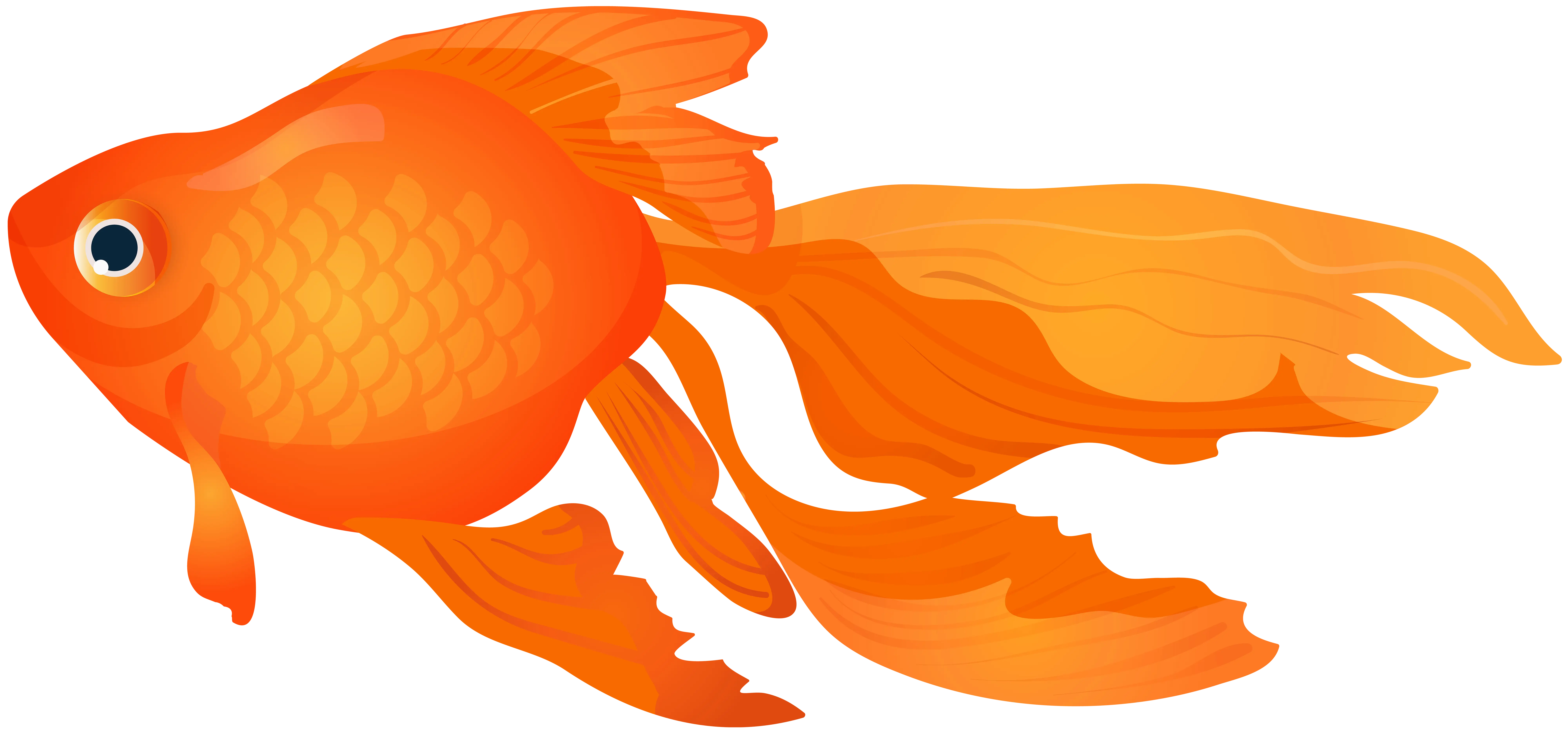Orange Goldfish