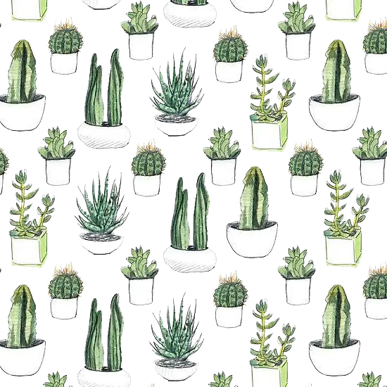 Potted Plant and Cactus Pattern Illustration