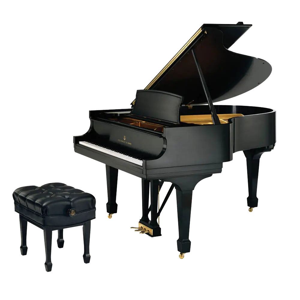 Black Grand Piano with Bench