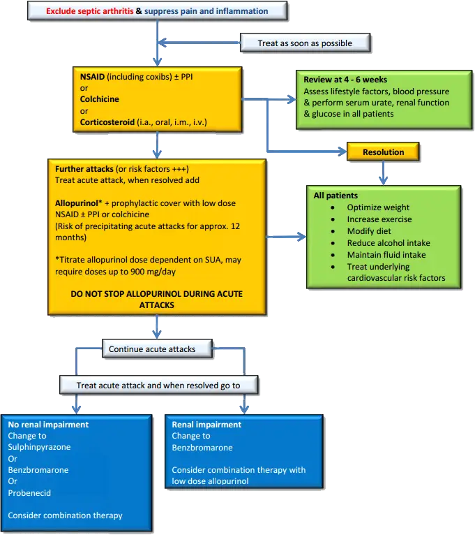 Medical Treatment Flowchart