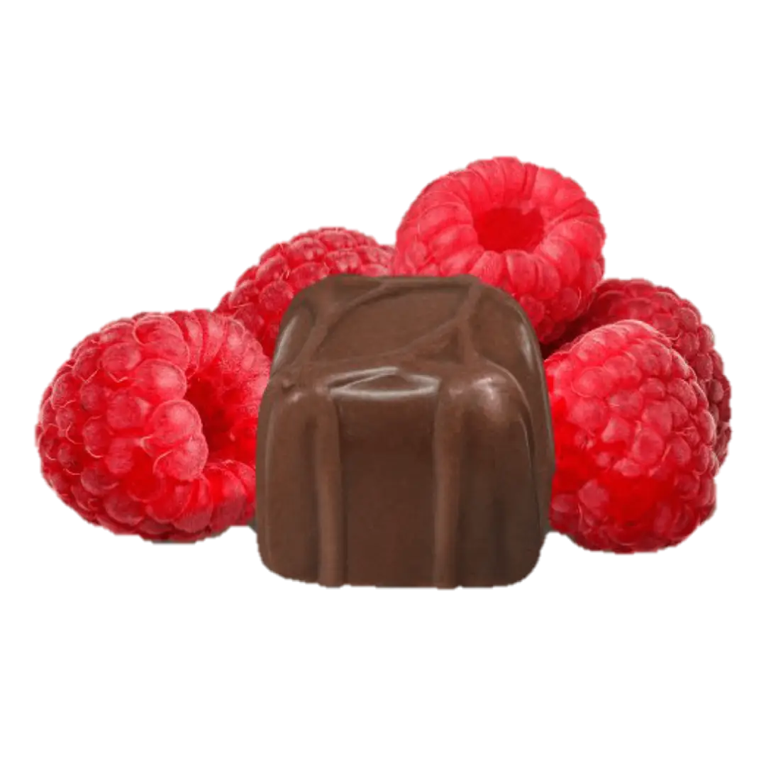 Chocolate and Raspberry Dessert Combination