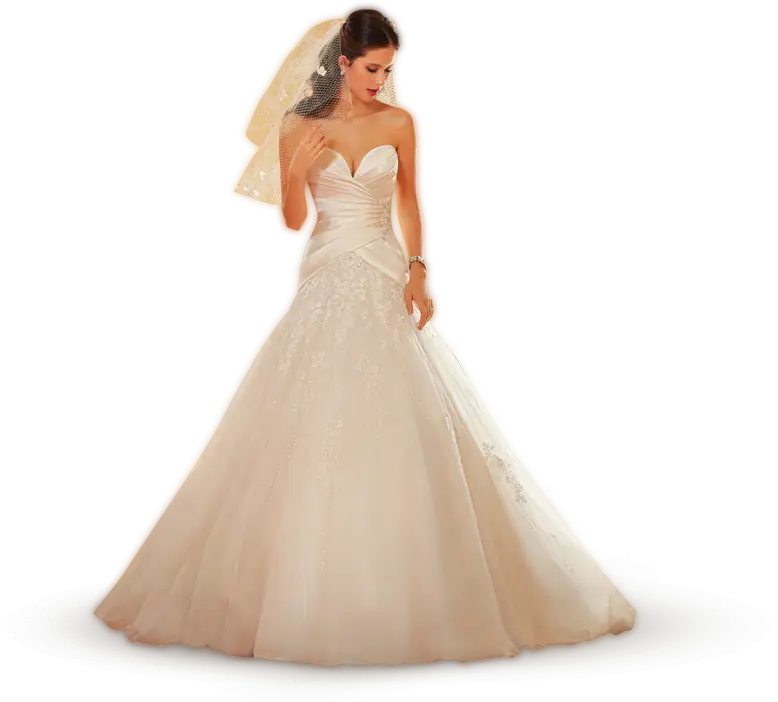 Bride in Wedding Dress