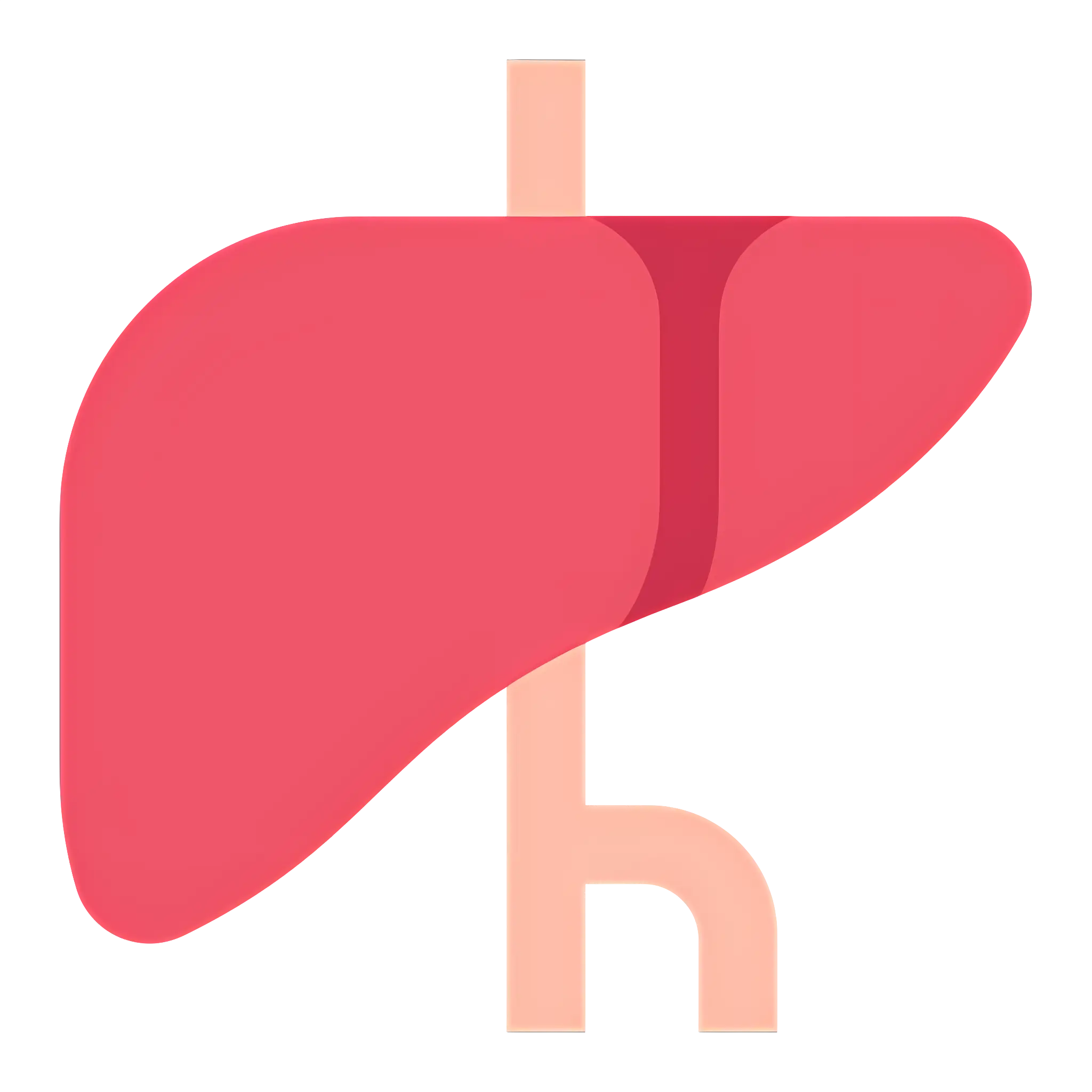 Anatomical Liver Organ Illustration