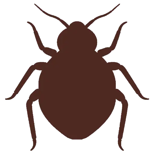 Brown Bug Silhouette