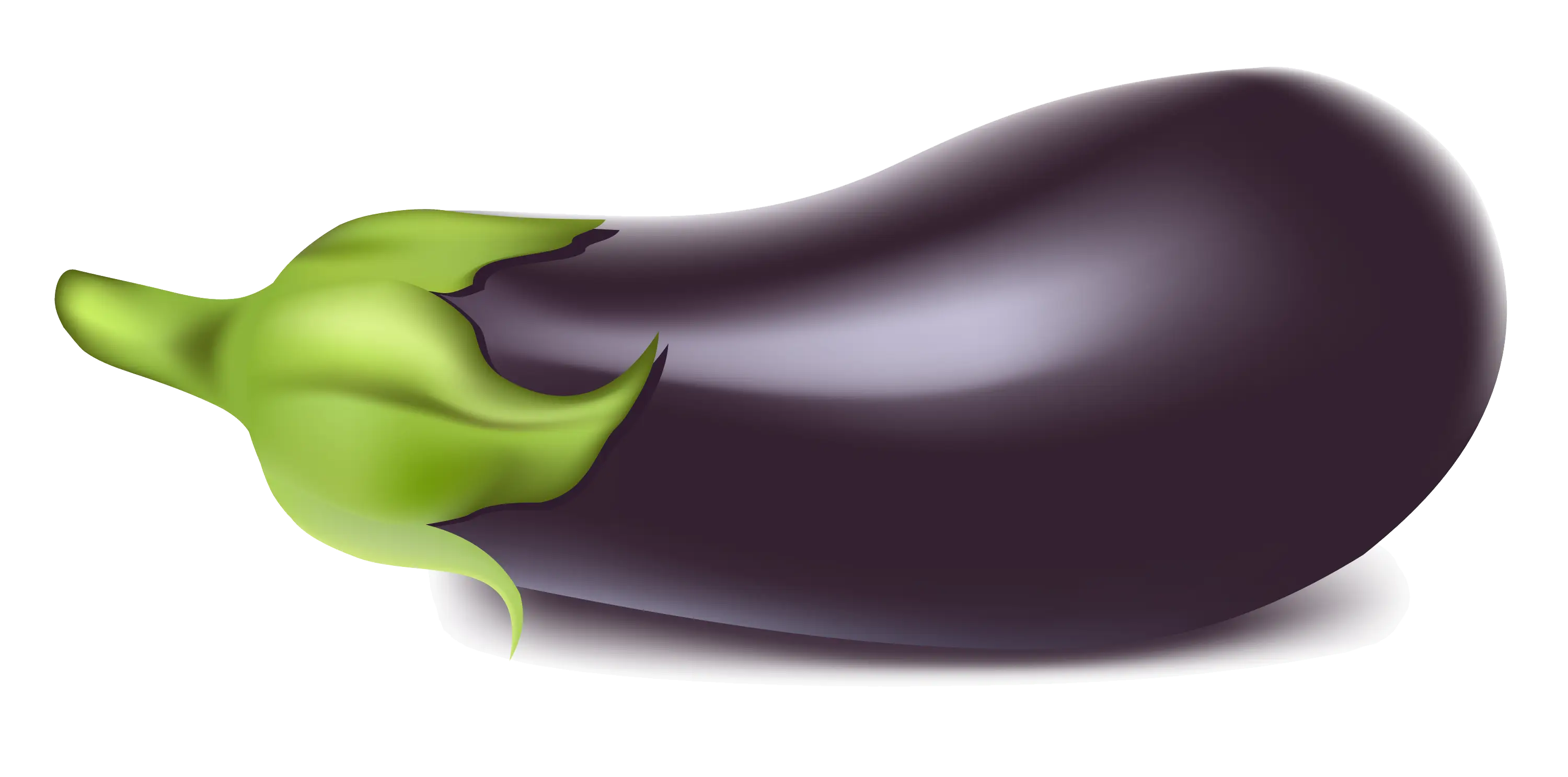 Fresh Eggplant Vegetable