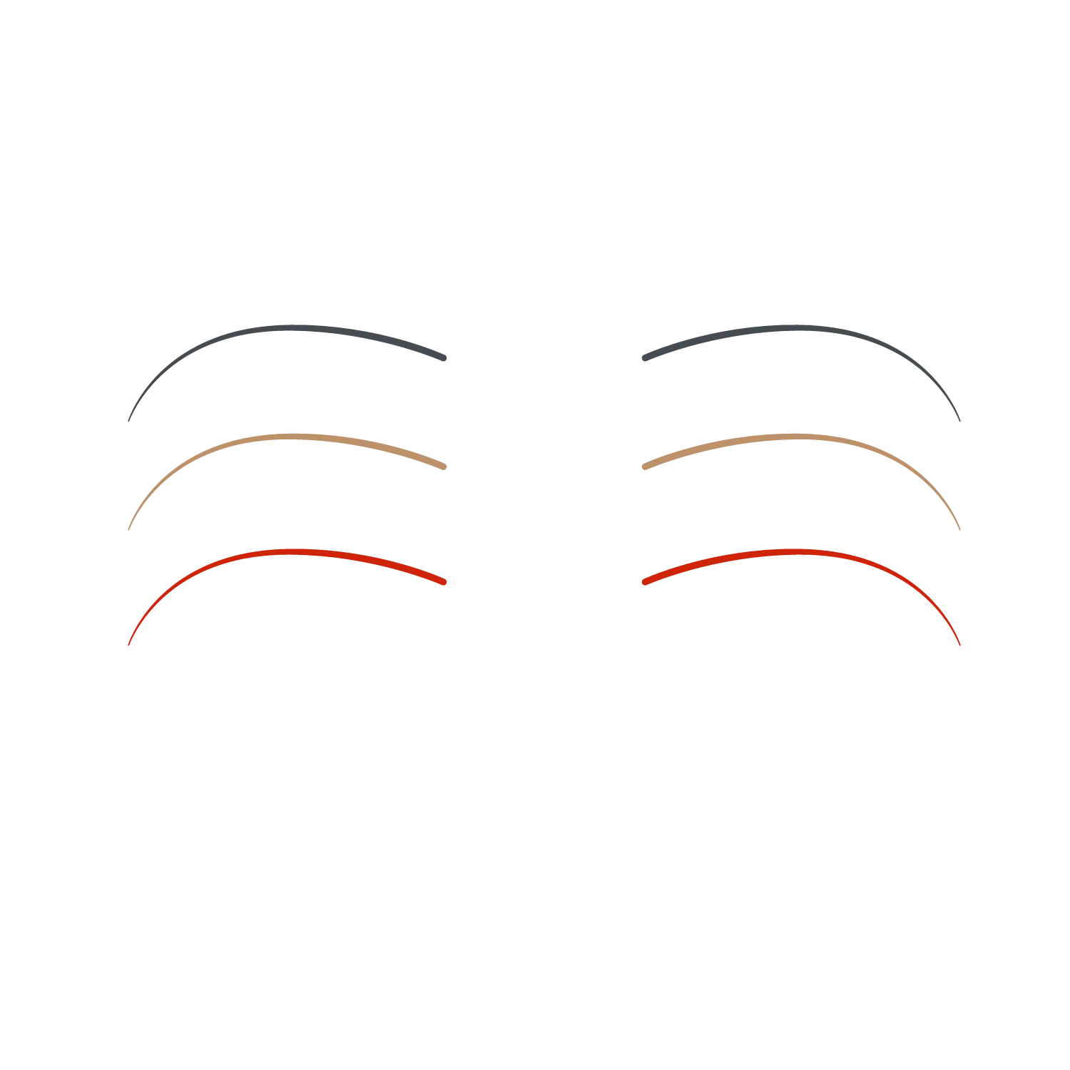 Various Eyebrow Styles
