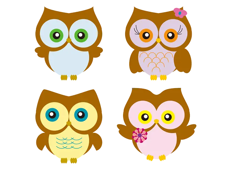 Cute Cartoon Owl Illustrations