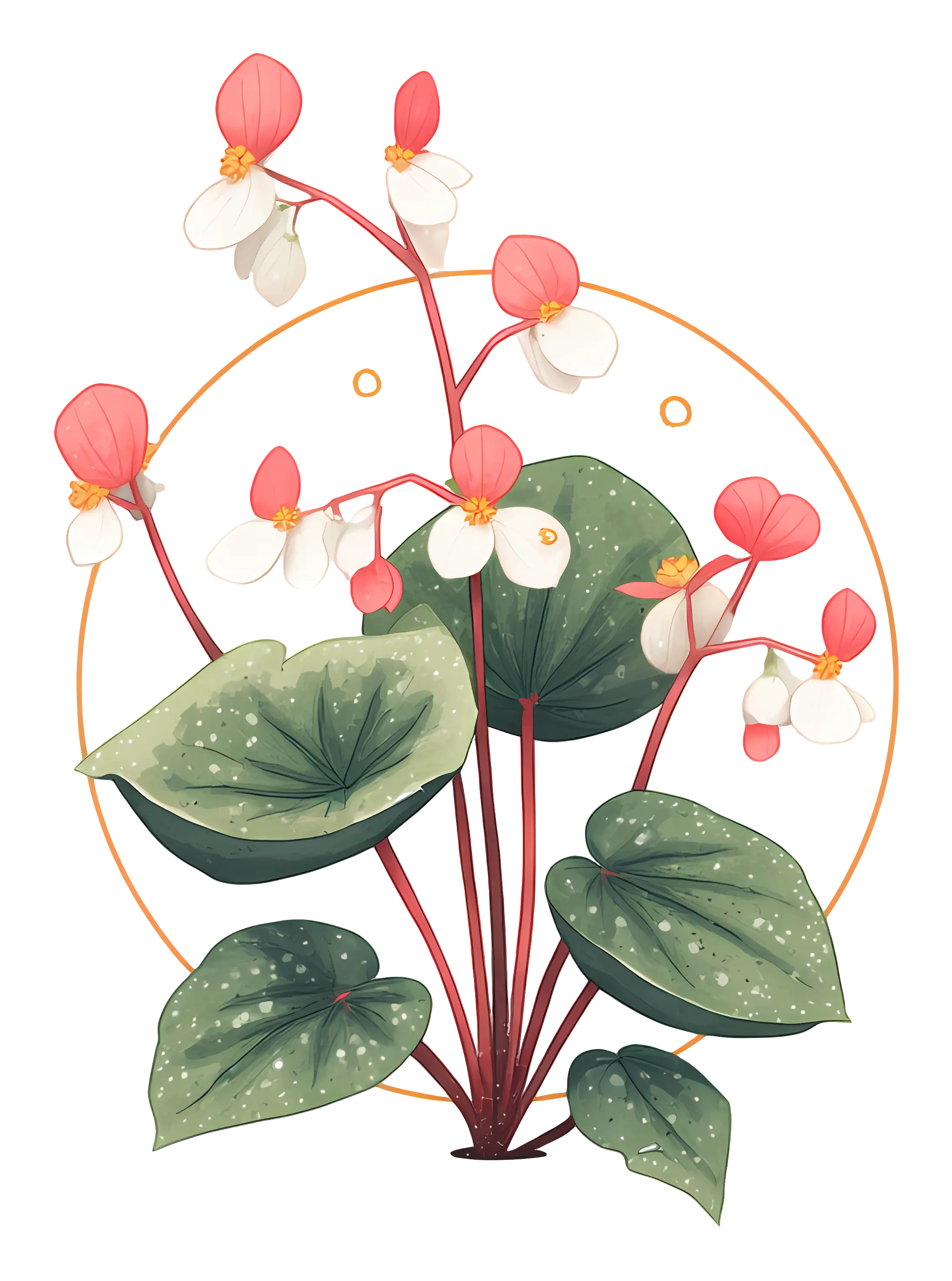 Beautiful Flowering Plant