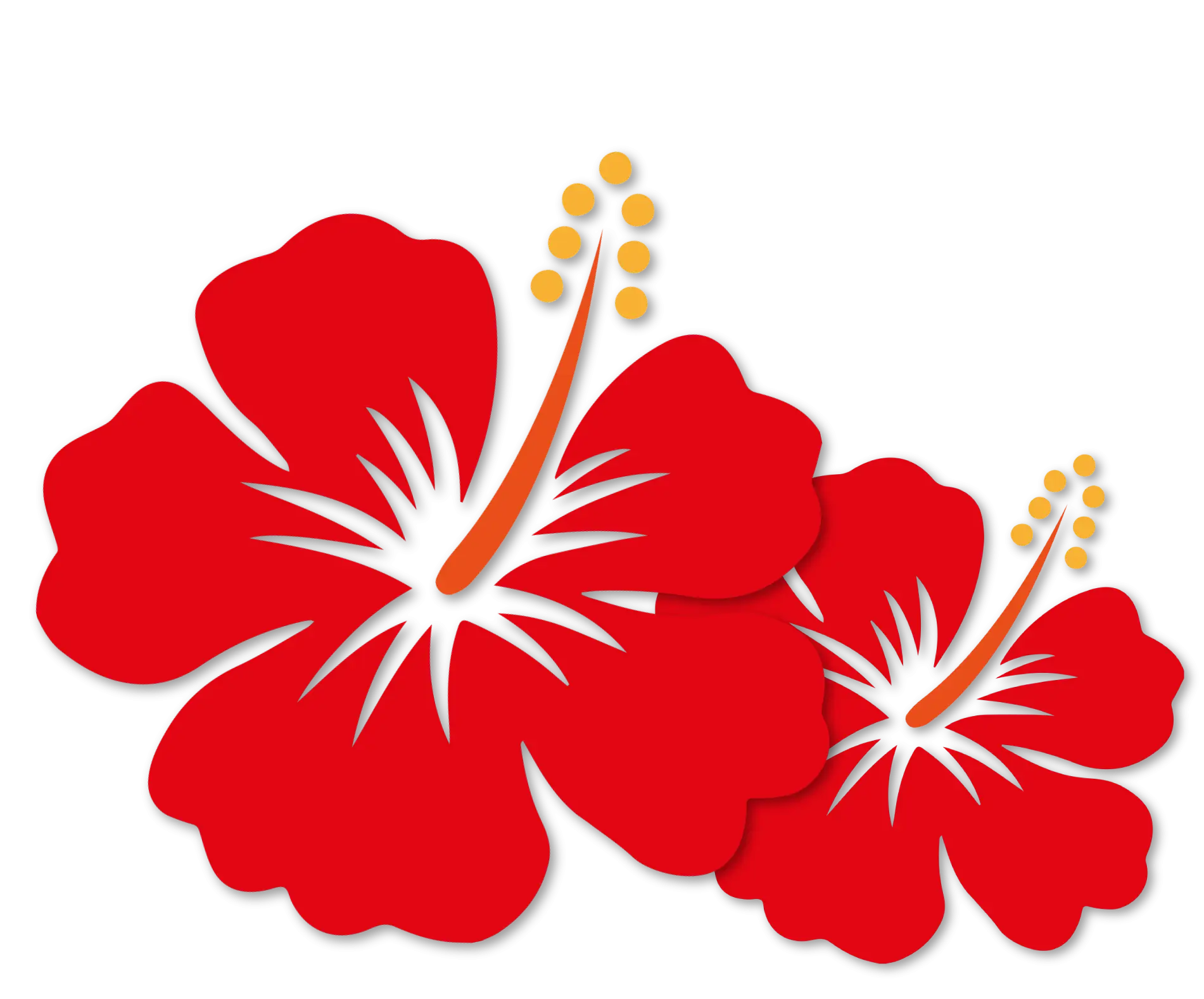 Red Hibiscus Flowers Illustration