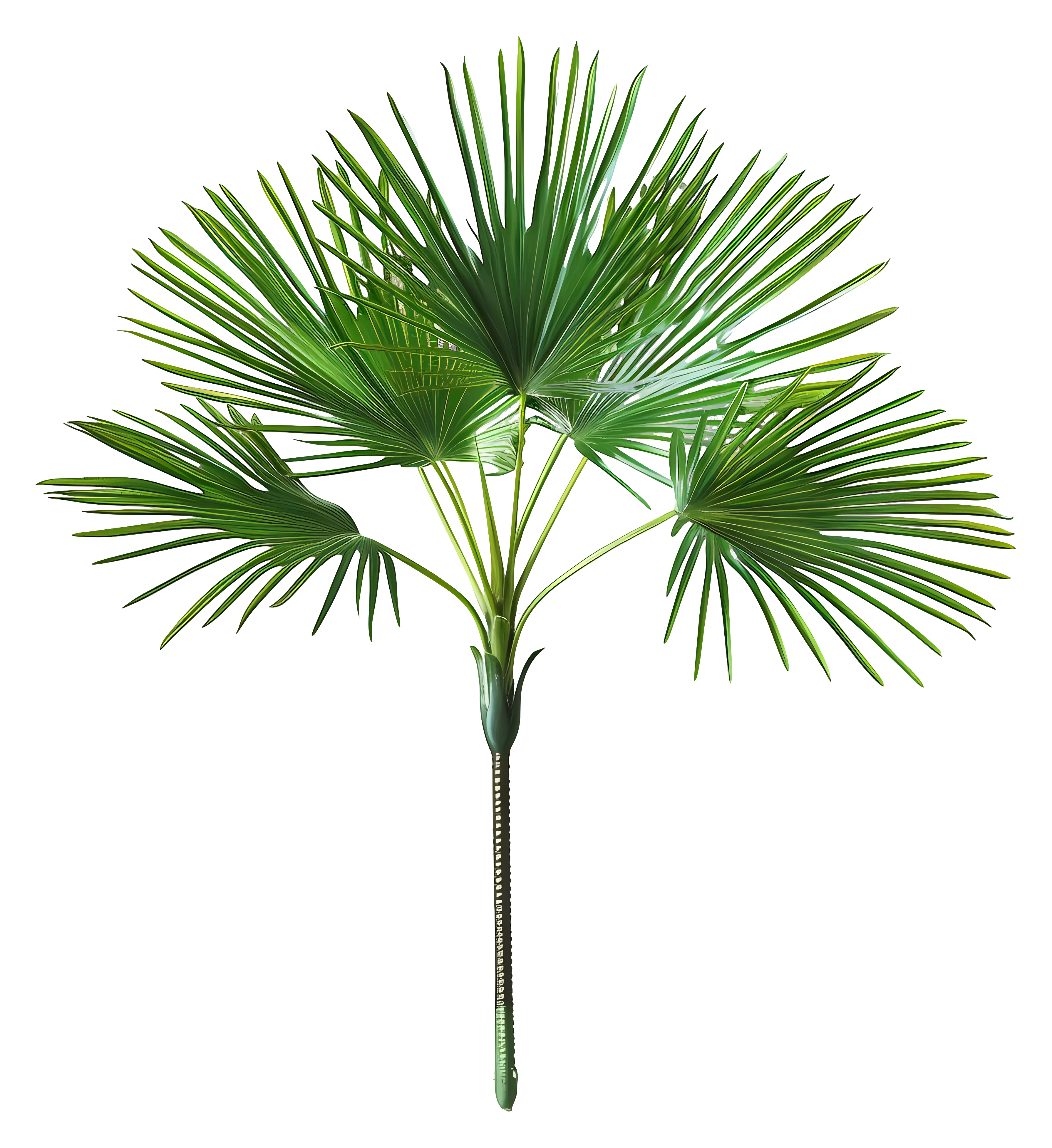 Vivid Palm Leaves Illustration