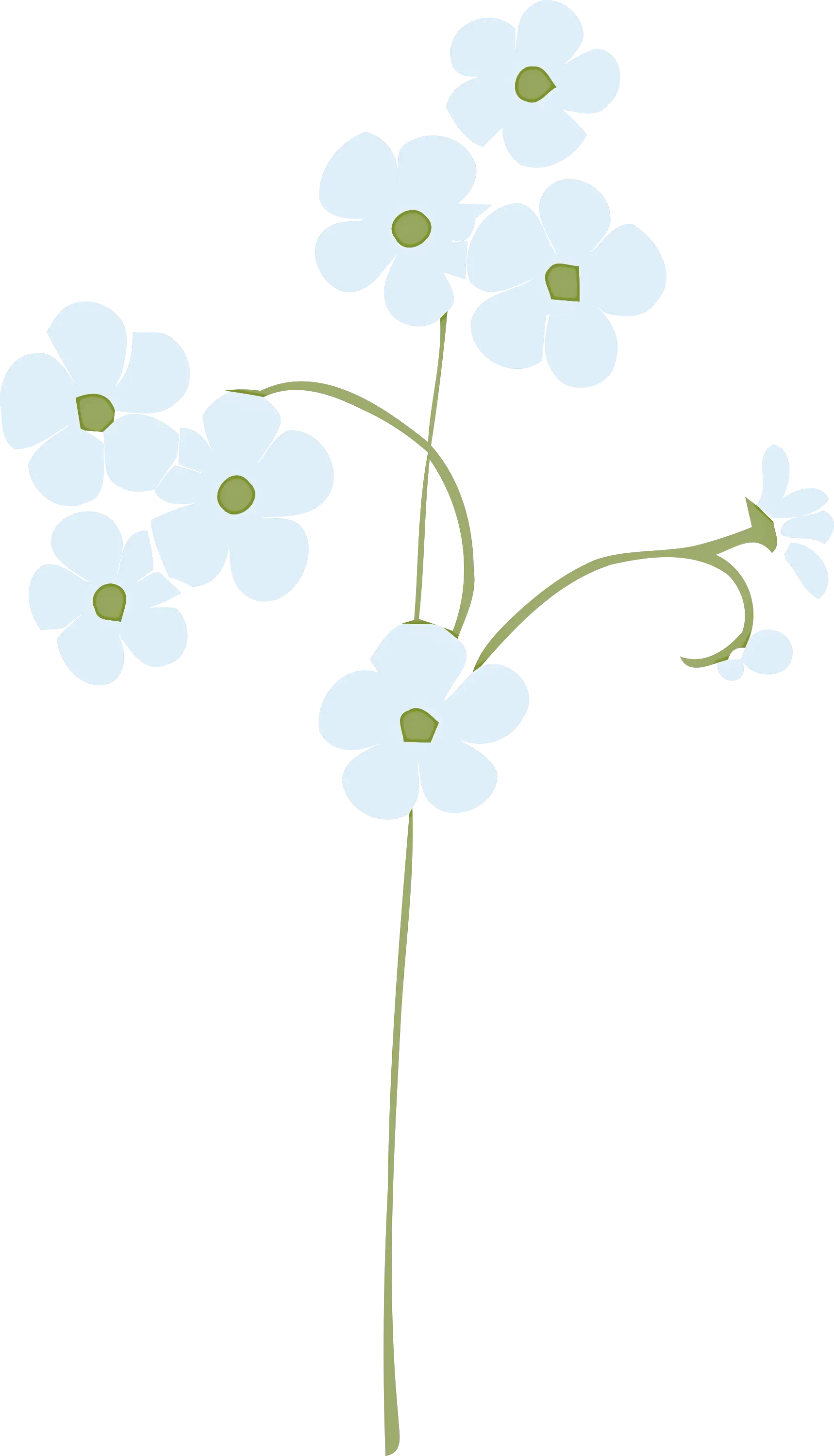 Delicate Blue Flowers with a Minimalist Style