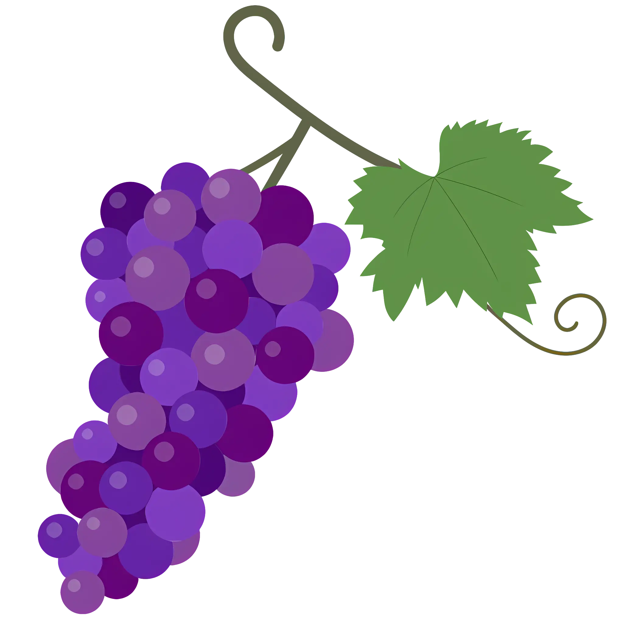 Purple Grape Bunch with Green Leaf