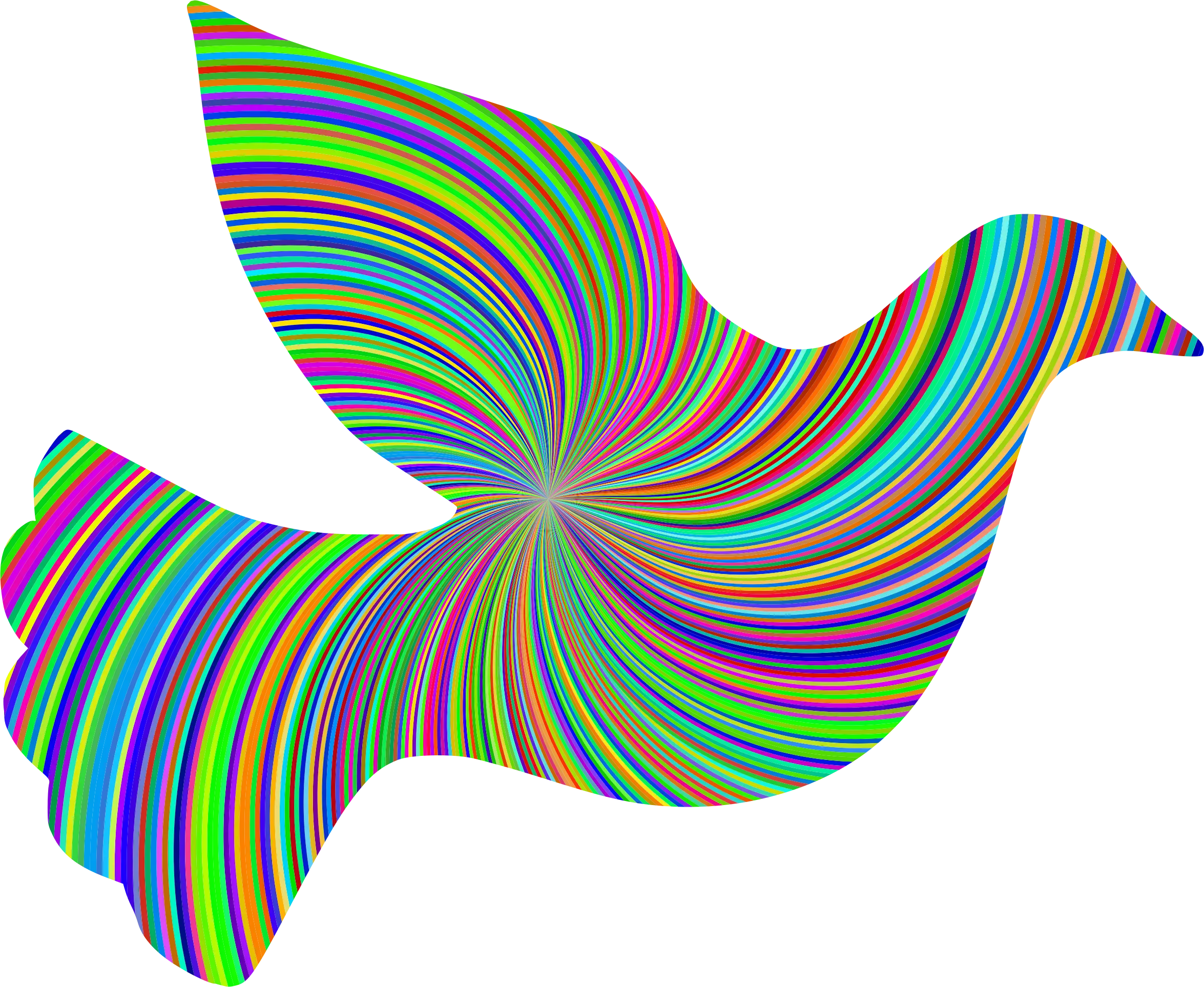 Colorful Bird with Rainbow Wings