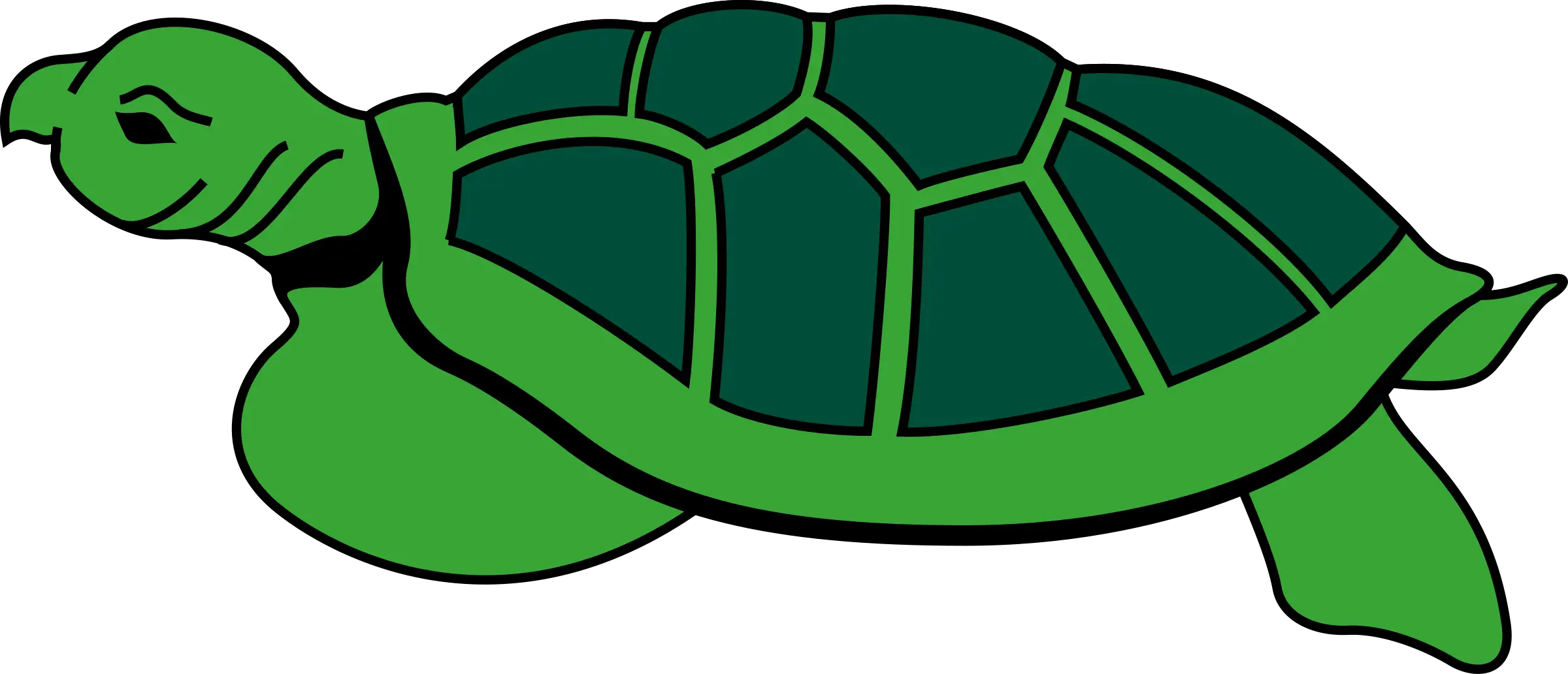 Green Cartoon Turtle