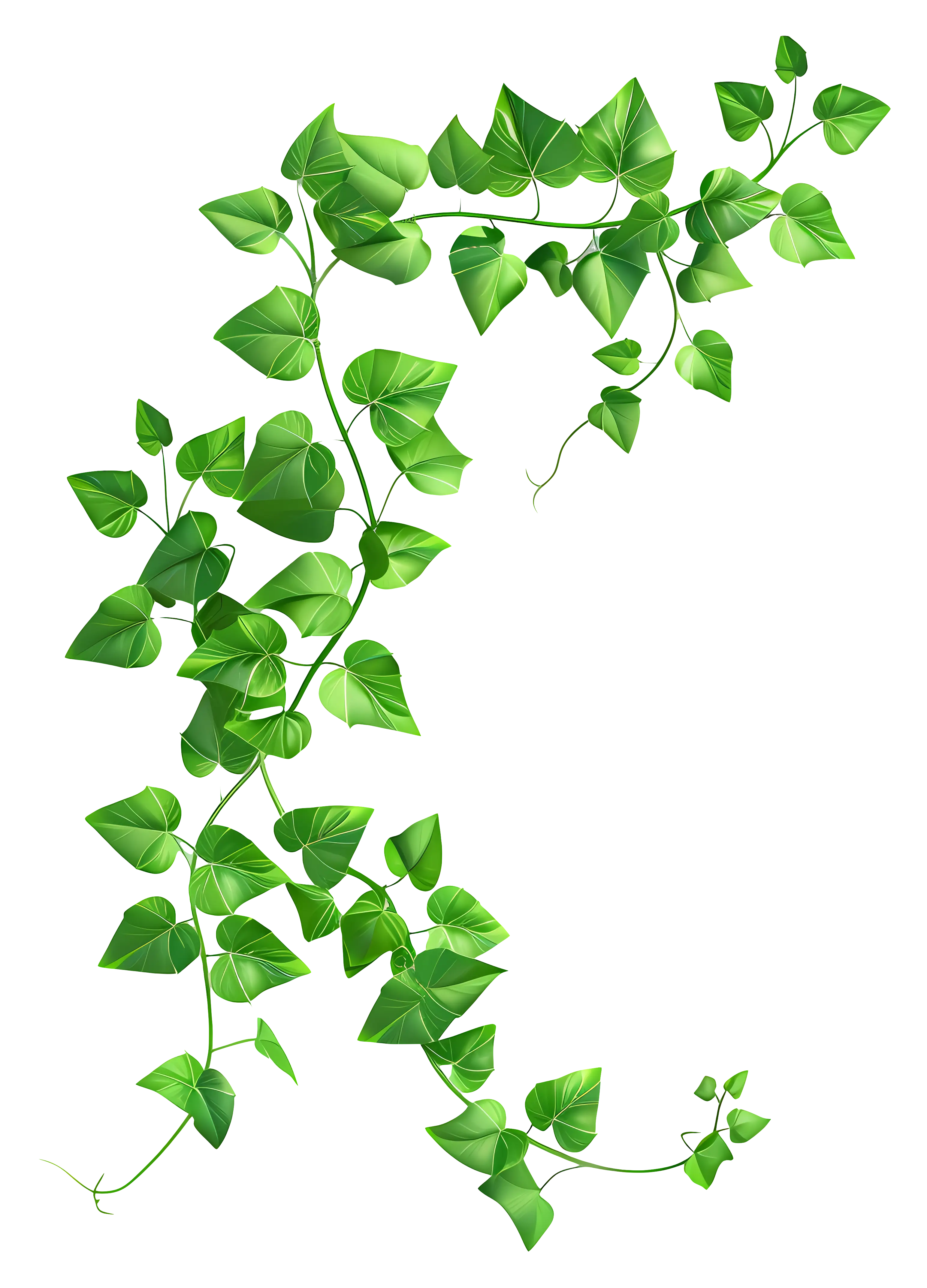 Green Ivy Vines with Twisting Leaves