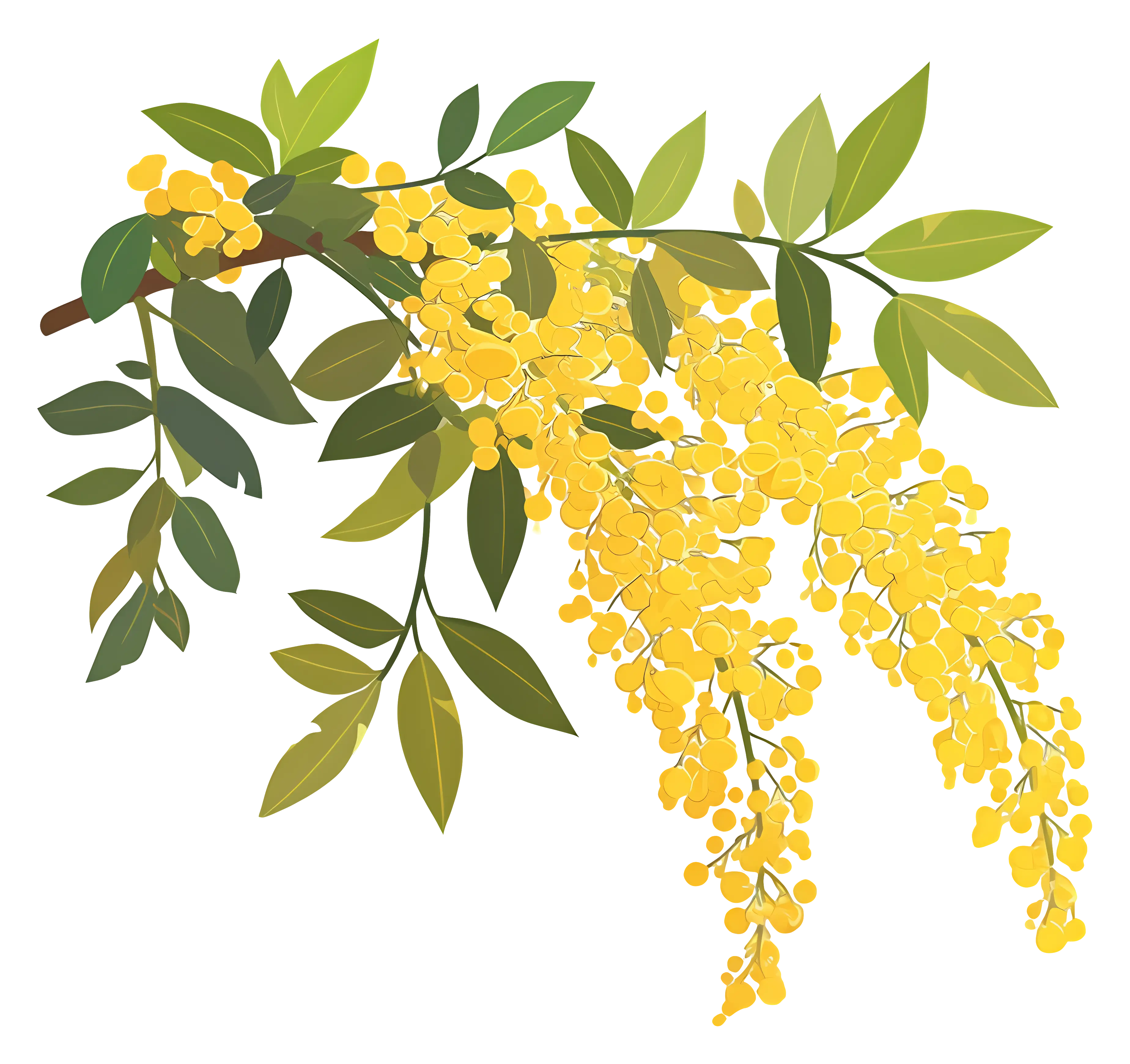 Yellow Flowers on Branch