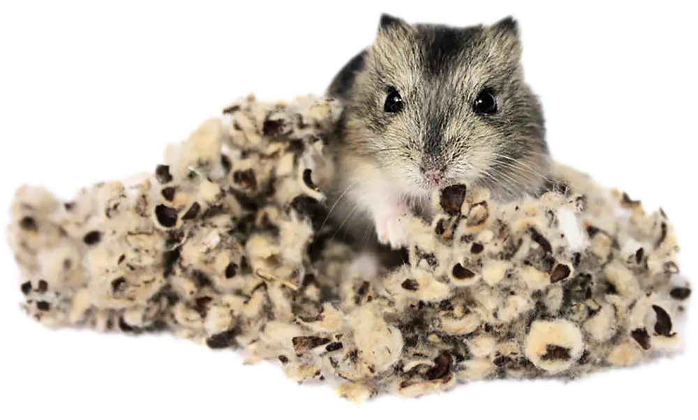 Hamster in Cozy Nest
