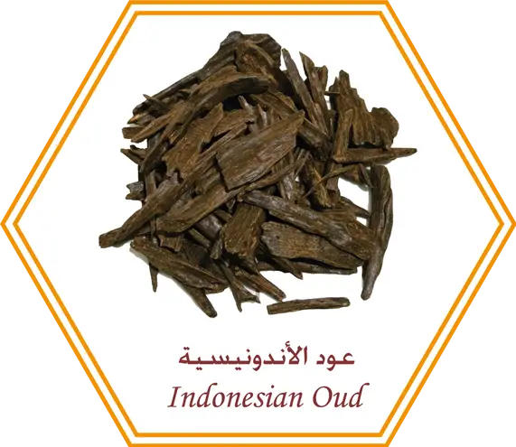 Indonesian Oud Wood