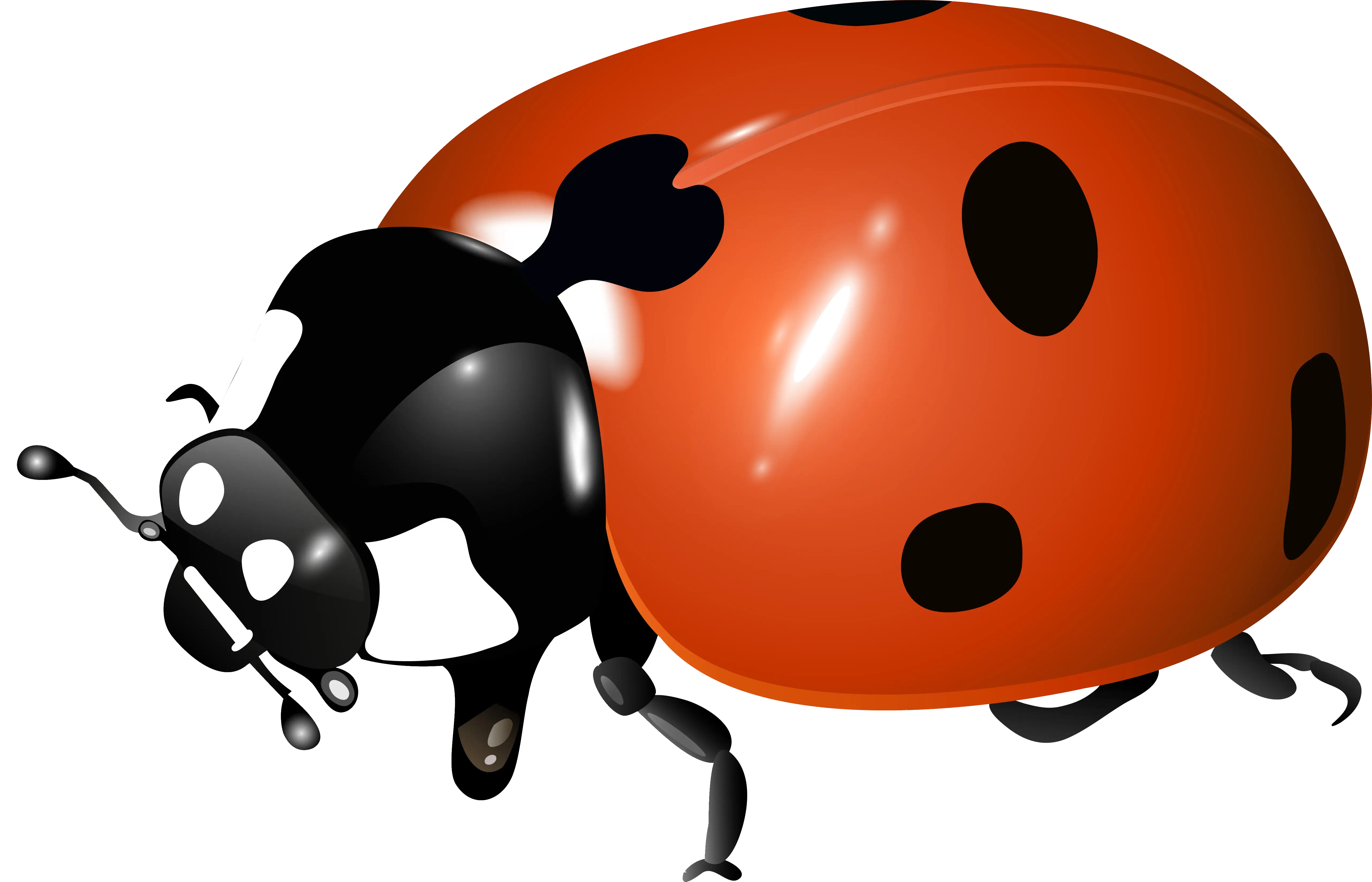 Bright Cartoon Ladybug