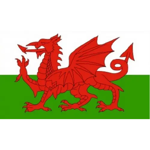 Welsh Red Dragon Flag