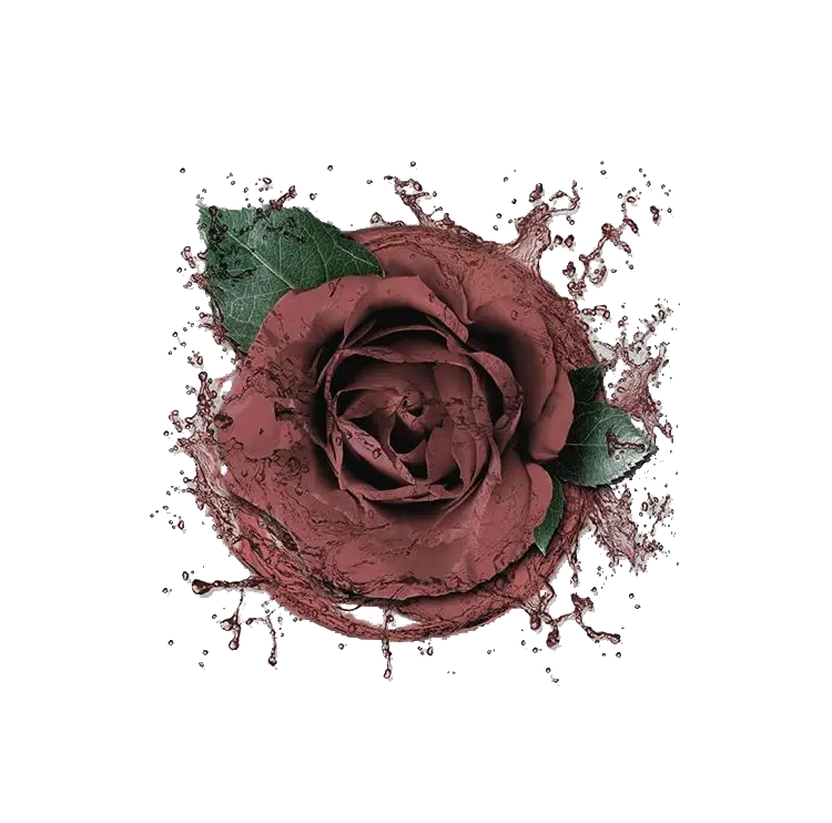 Brown Rose with Powder