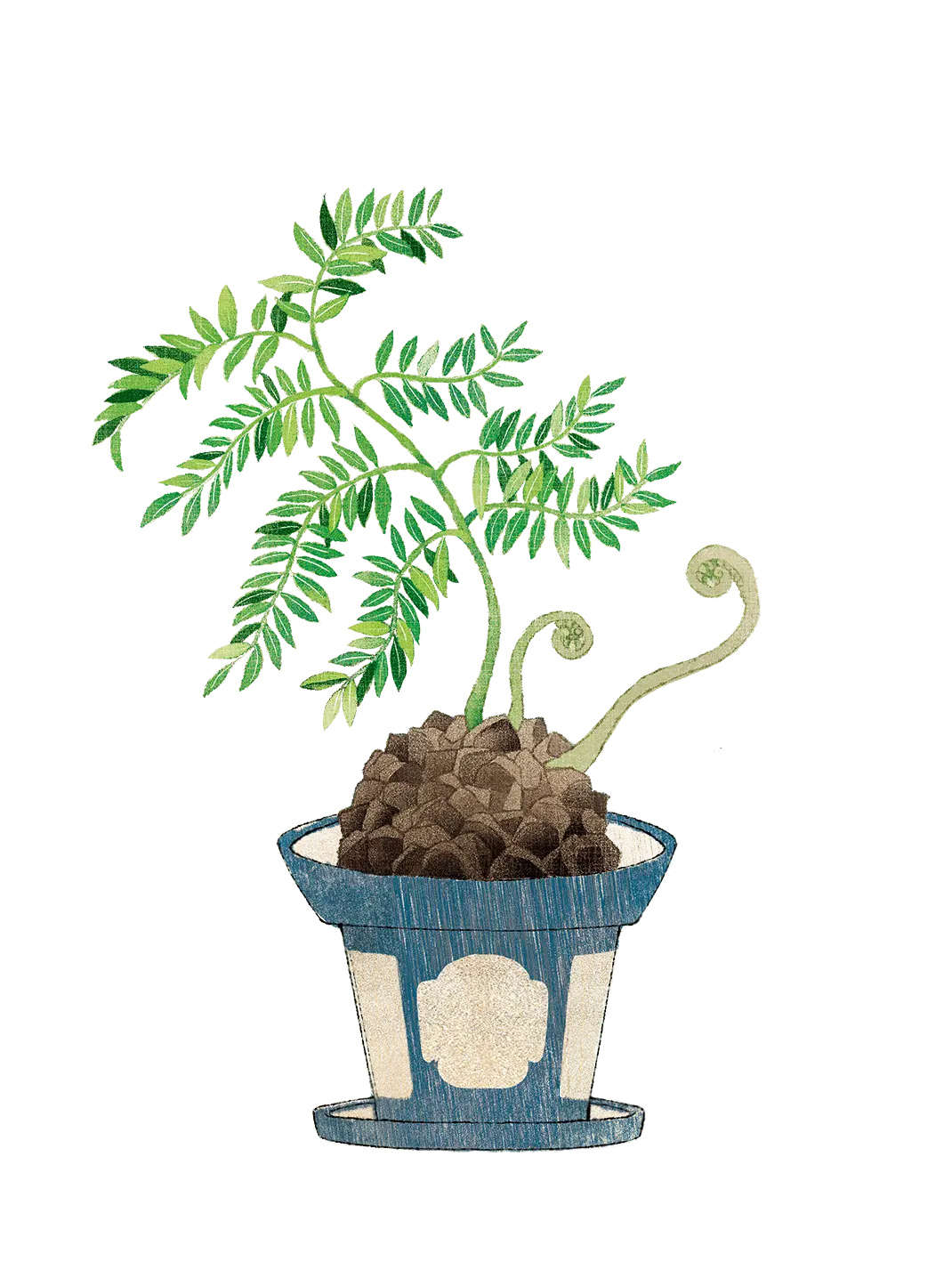 Potted Plant with Green Leaves