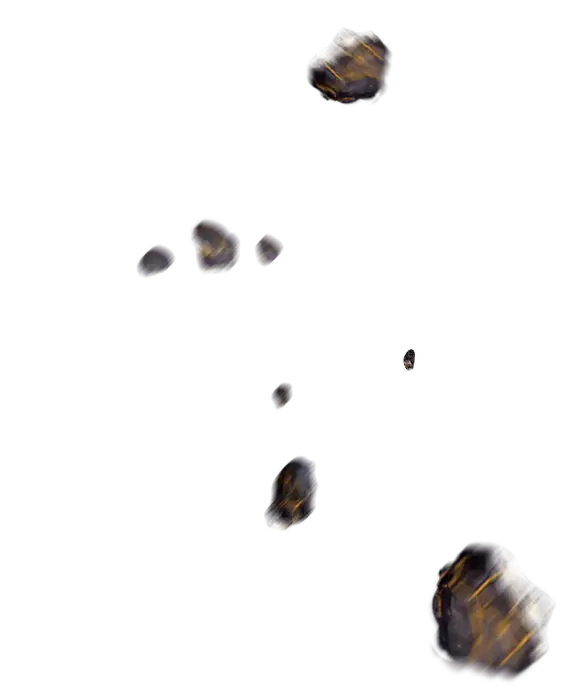 Scattered Coffee Beans