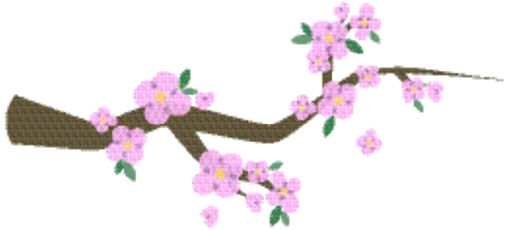 Cherry Blossom Branch with Soft Pink Blooms