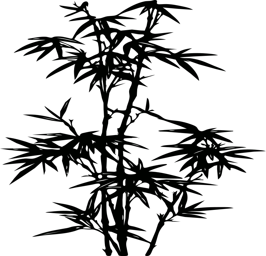 Black Silhouette of Bamboo Plant