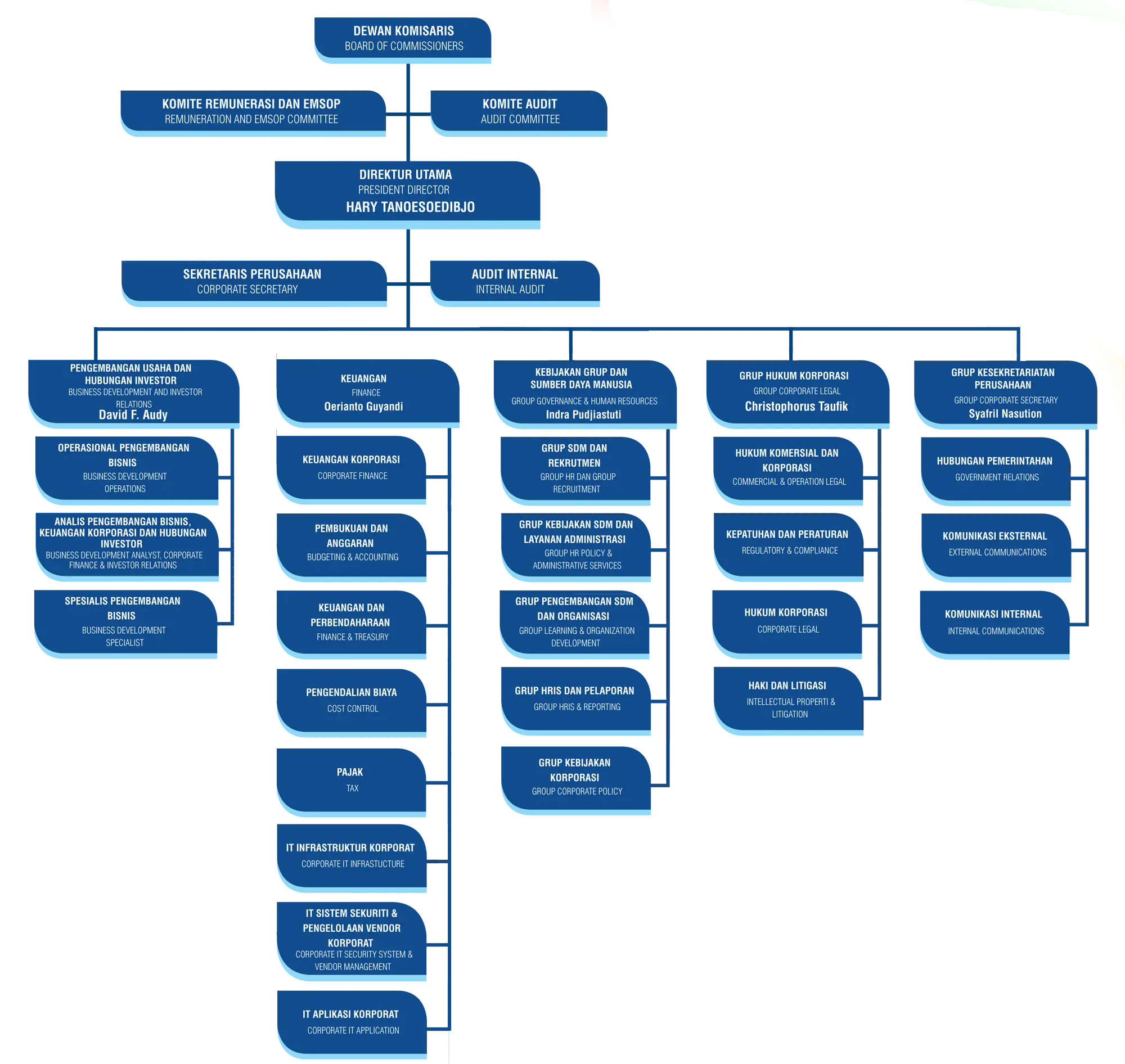 Corporate Organizational Chart Design