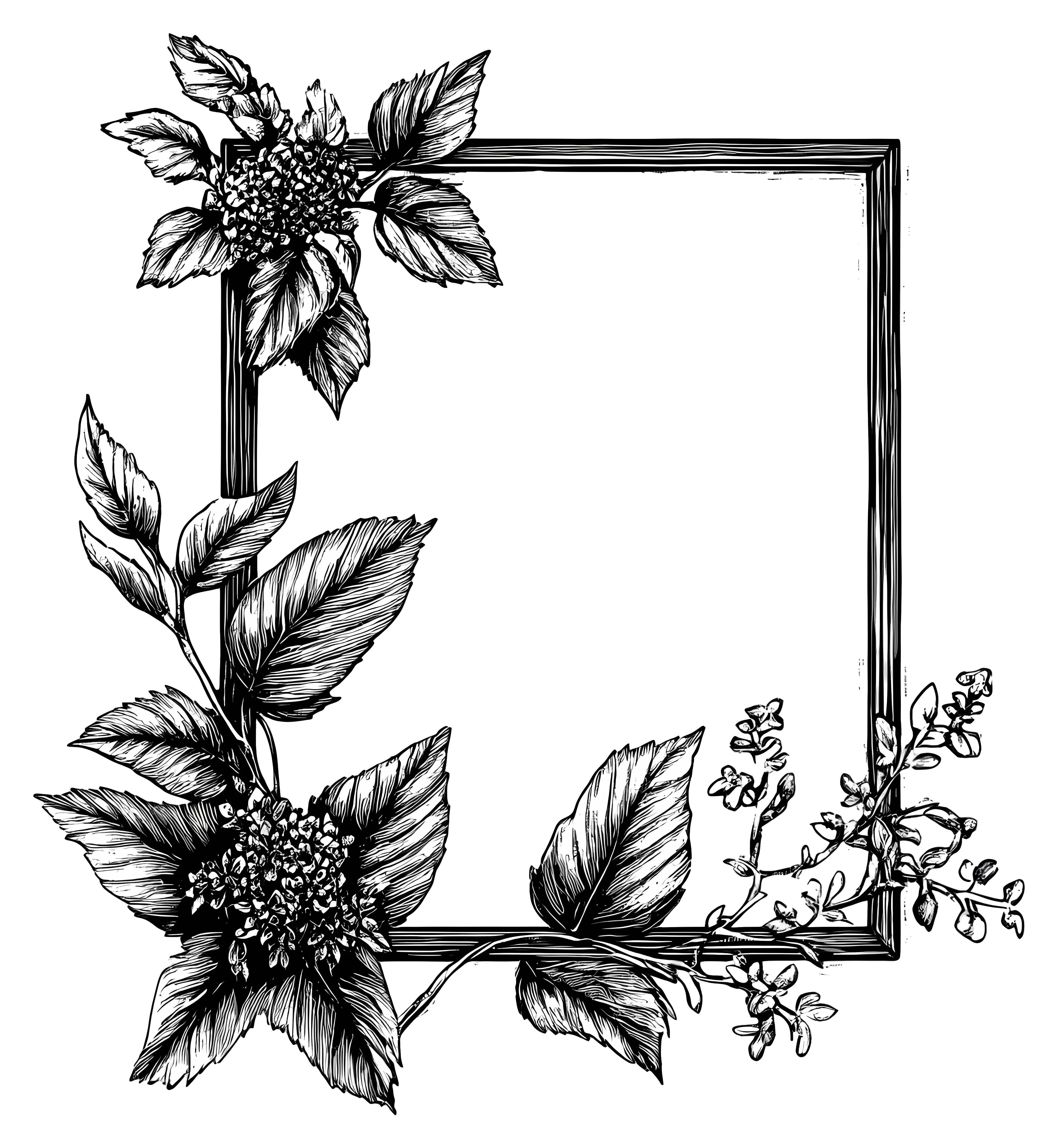 Elegant Floral Frame